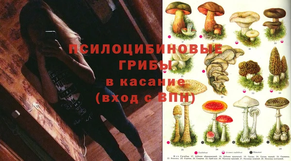 трава Баксан