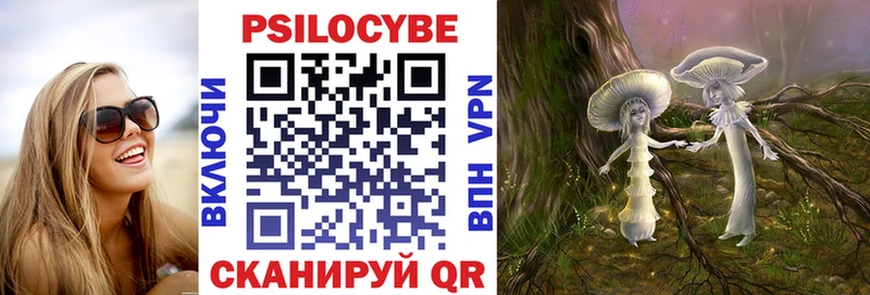 Купить  Нижние Серги  Галлюциногенные грибы GOLDEN TEACHER 