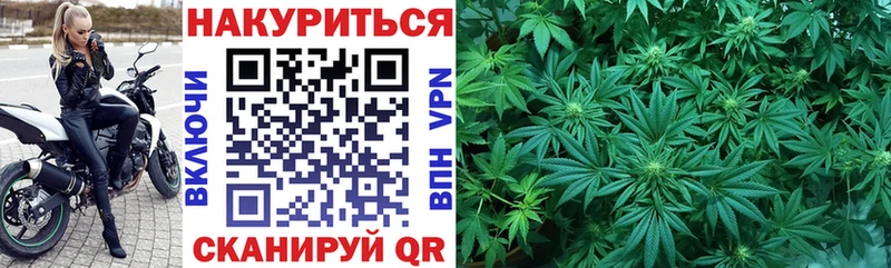 Купить где  Нижние Серги  Канабис сатива 